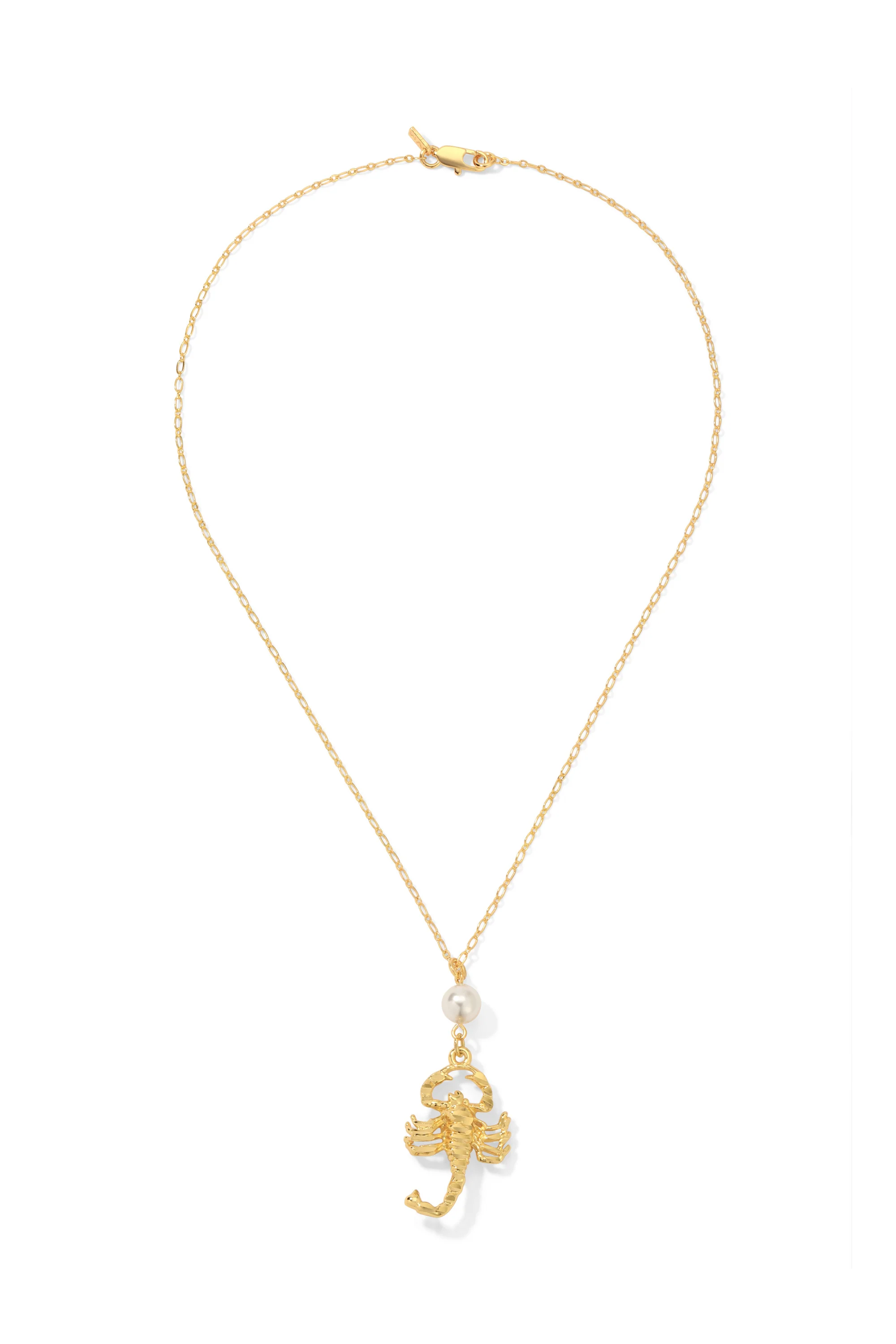 The Scorpion Necklace